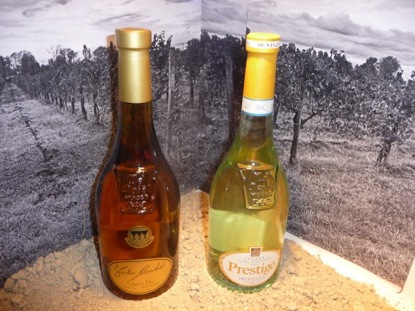 Vin Italy-Wine tasting in Lake Garda