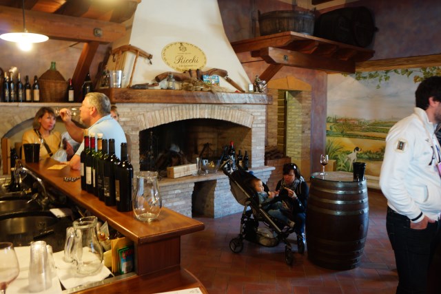 Wine tasting In Lake Garda-Azienda Agricola Ricchi