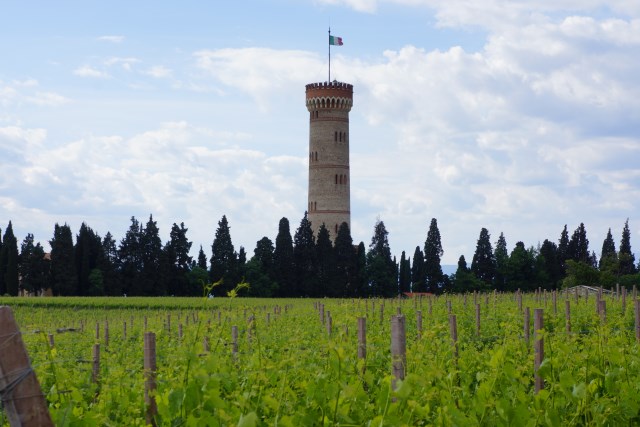 Wine Tasting In Lake Garda-Azienda Agricola Citari