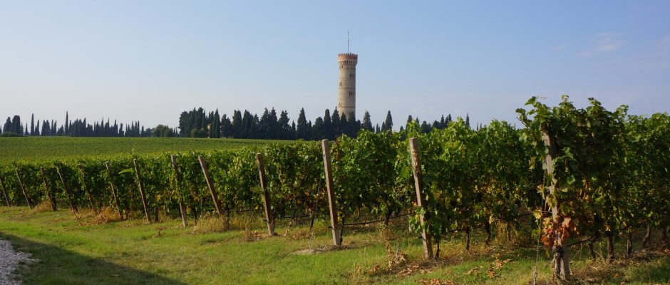 Wine tasting in Lake Garda-Citari