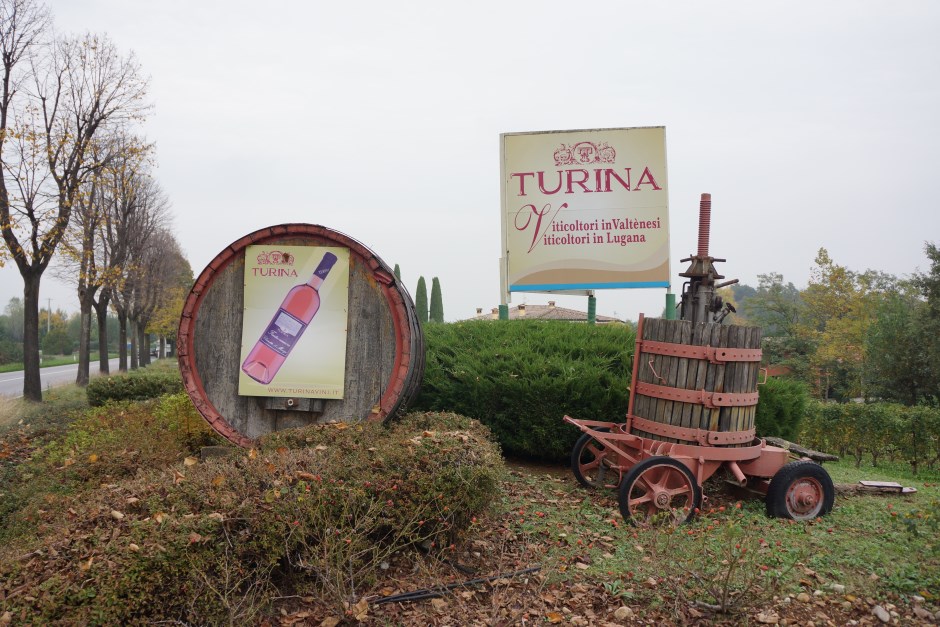 Wine Tasting In Lake Garda-Turina