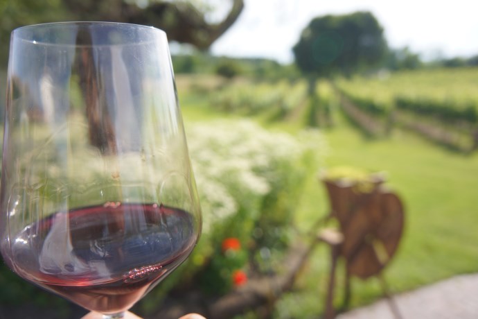 Lake Garda Wine