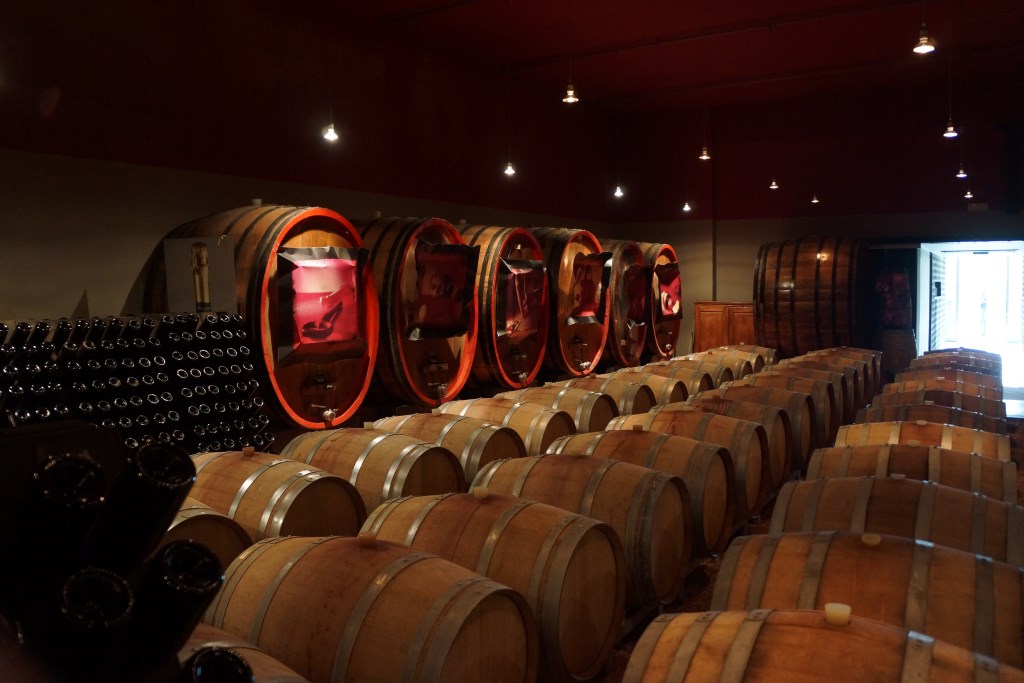 Lake Garda wine